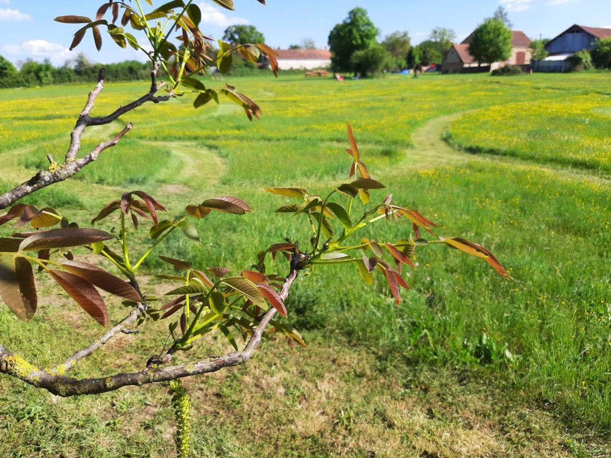 Notre village Papillon gite bed&breakfast Neret Extérieur photo